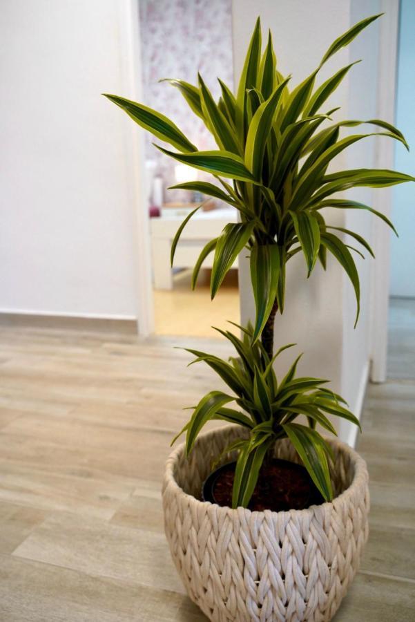 Apartment For 6 + Free Parking Place Zadar Ngoại thất bức ảnh